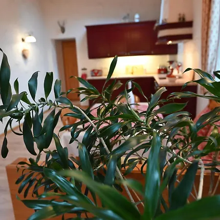 Sissi * روستوك